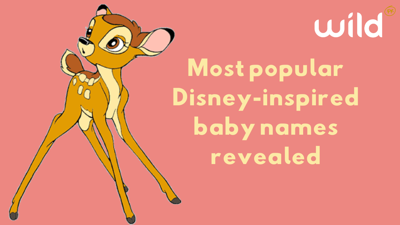 Most popular Disney inspired baby names revealed